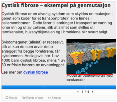 skjermbilde med eksempel