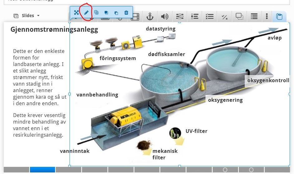 SharedScreenshoth5pbilde1.jpg